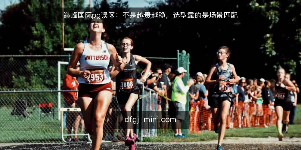 巅峰国际pg误区:不是越贵越稳,选型靠的是场景匹配 — 误区一:价格高就等于稳定可靠? 配图