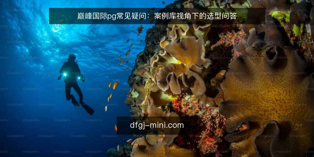 巅峰国际pg常见疑问：案例库视角下的选型问答 — 案例库里的巅峰国际pg通常出现在哪些场景？ 配图